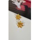 Pervin Çelik Mango Sarı Çiçek Küpe