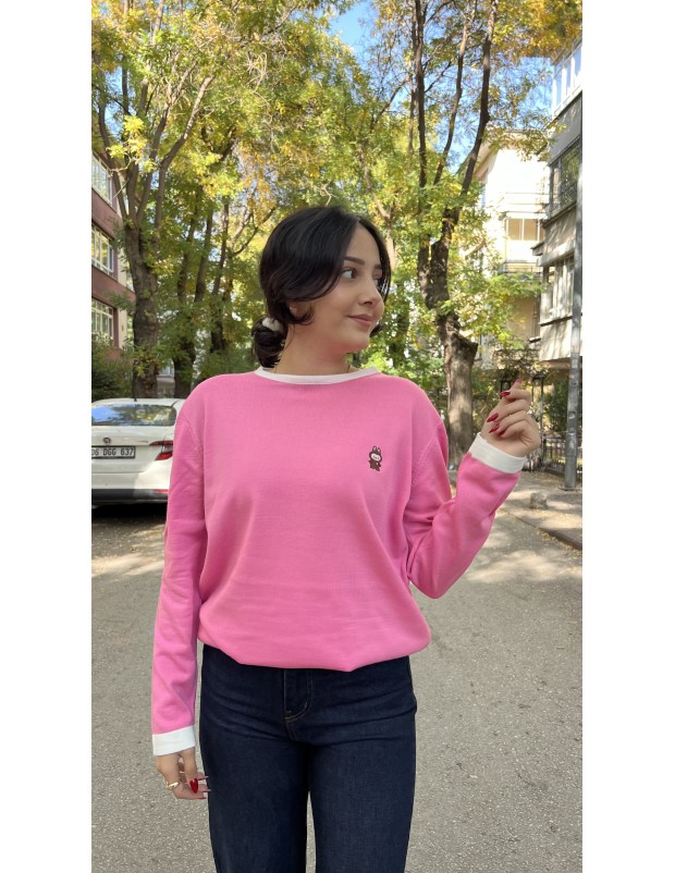 Pembe Bisiklet Yaka Nakış Detaylı İnce Triko Kazak