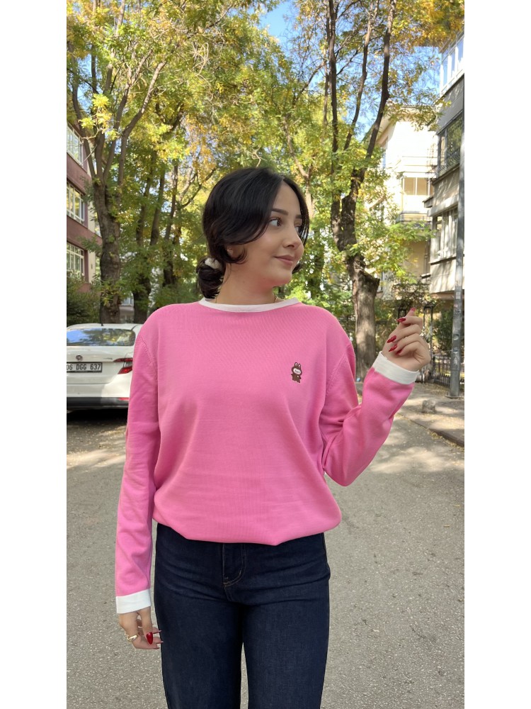 Pembe Bisiklet Yaka Nakış Detaylı İnce Triko Kazak