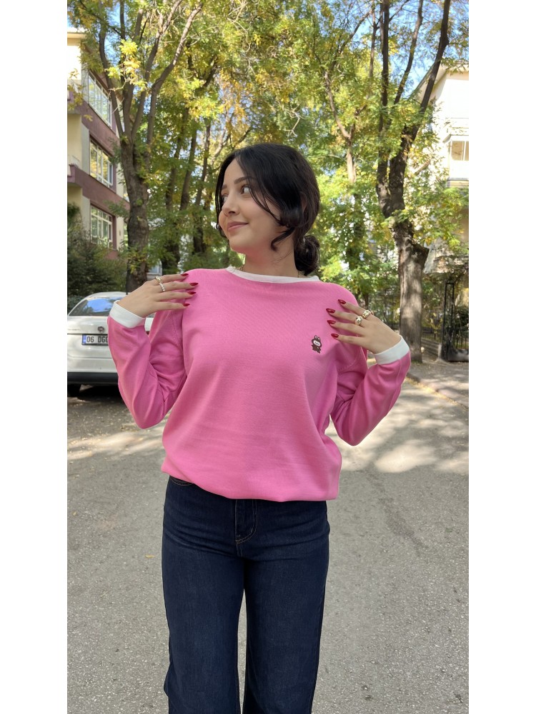 Pembe Bisiklet Yaka Nakış Detaylı İnce Triko Kazak